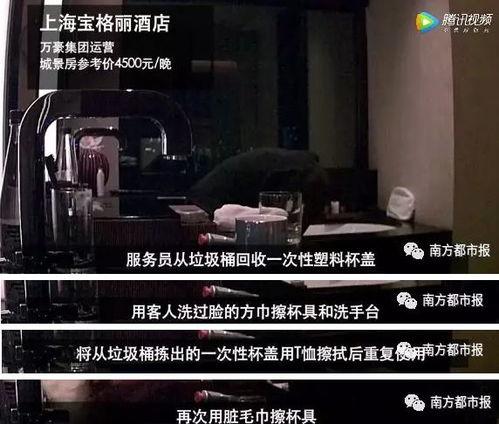 酒店最新爆料视频大全,揭秘幕后真相与精彩瞬间
